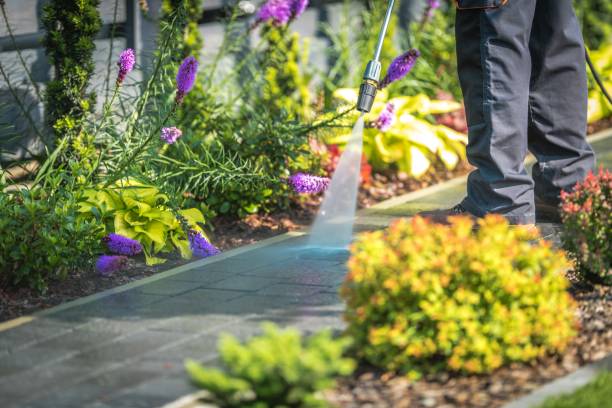 Trusted Washington, PA  Pressure Washing Services Experts
